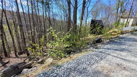 236 Wild Daisy Ln, Beech Mountain, NC 28604 photo 5