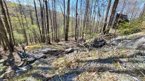 236 Wild Daisy Ln, Beech Mountain, NC 28604 photo 17