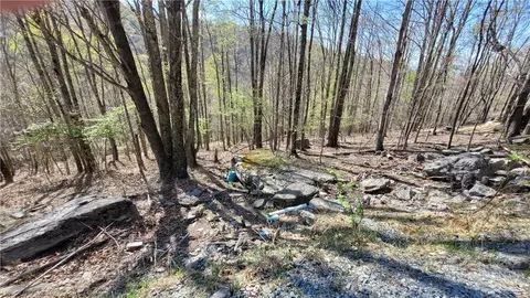 236 Wild Daisy Ln, Beech Mountain, NC 28604 photo 2