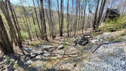 236 Wild Daisy Ln, Beech Mountain, NC 28604 photo 6