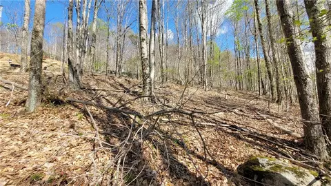 236 Wild Daisy Ln, Beech Mountain, NC 28604 photo 13