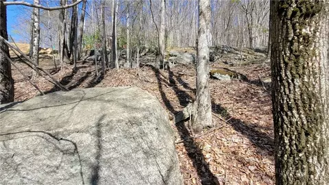 236 Wild Daisy Ln, Beech Mountain, NC 28604 photo 8