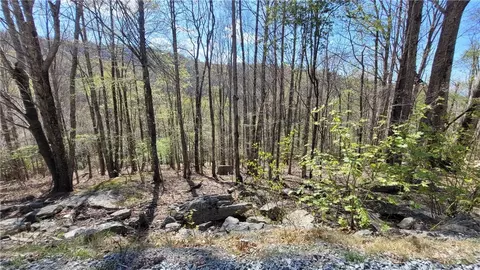 236 Wild Daisy Ln, Beech Mountain, NC 28604