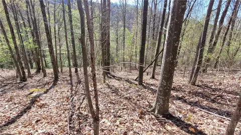 236 Wild Daisy Ln, Beech Mountain, NC 28604 photo 11