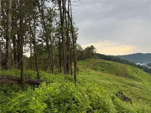 lot1 S Big Horse Creek Rd, Lansing, NC 28643