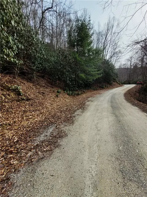 118 Deergrass Rd, Beech Mountain, NC 28604 photo 6