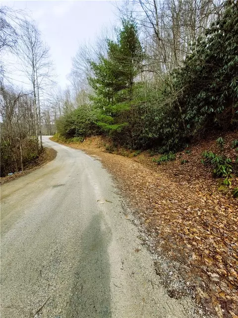 118 Deergrass Rd, Beech Mountain, NC 28604 photo 4
