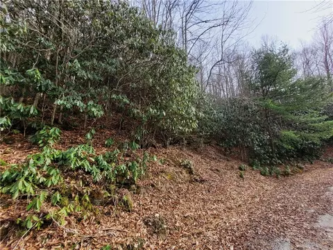 118 Deergrass Rd, Beech Mountain, NC 28604 photo 2