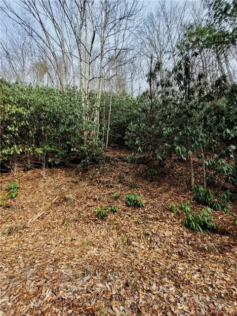 118 Deergrass Rd, Beech Mountain, NC 28604 photo 3