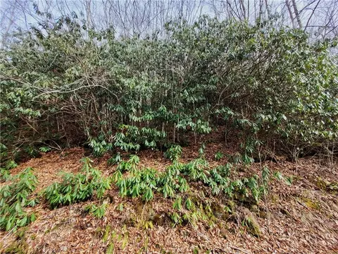 118 Deergrass Rd, Beech Mountain, NC 28604