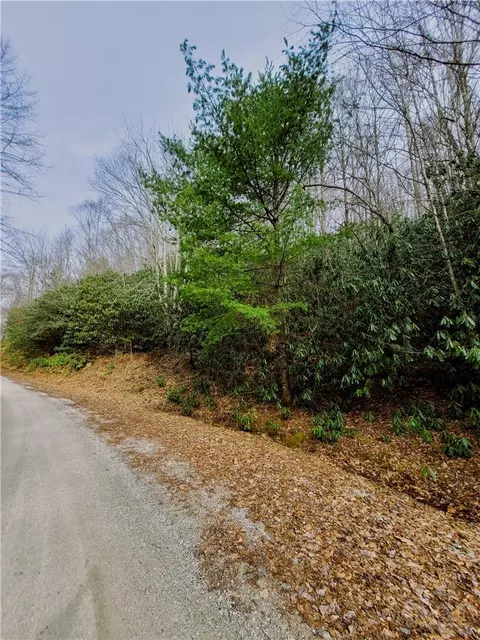 118 Deergrass Rd, Beech Mountain, NC 28604 photo 5