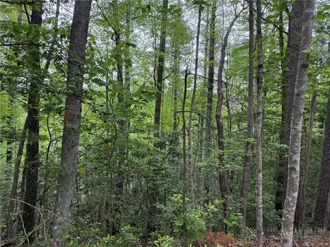 tbd W Ridge Dr, Ferguson, NC 28624 photo 3