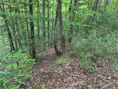tbd W Ridge Dr, Ferguson, NC 28624 photo 12
