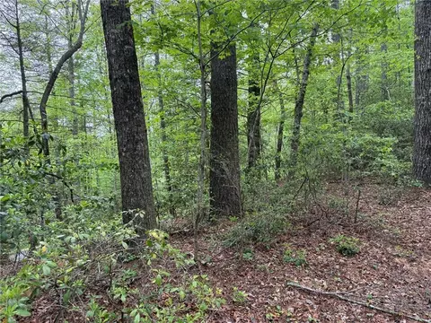 tbd W Ridge Dr, Ferguson, NC 28624 photo 5