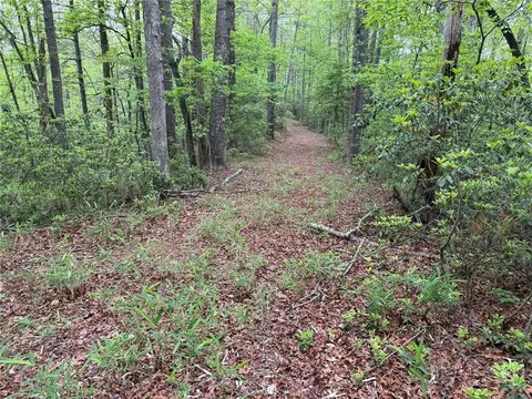 tbd W Ridge Dr, Ferguson, NC 28624 photo 4