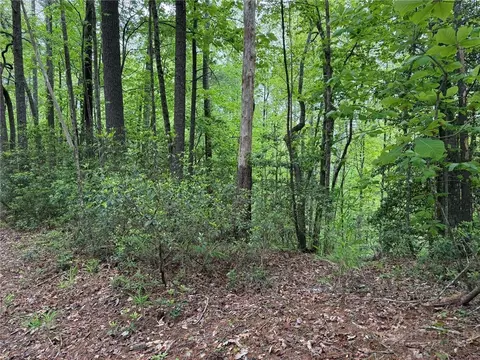 tbd W Ridge Dr, Ferguson, NC 28624 photo 8