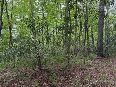 tbd W Ridge Dr, Ferguson, NC 28624 photo 10