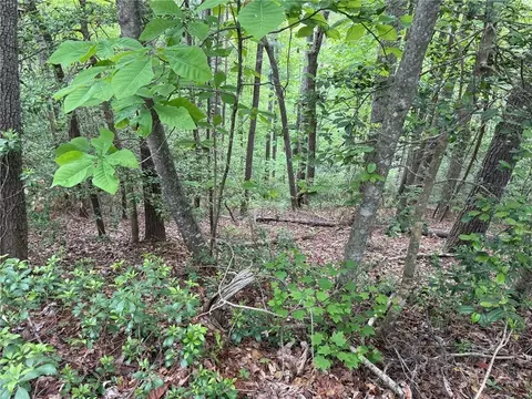 tbd W Ridge Dr, Ferguson, NC 28624 photo 6