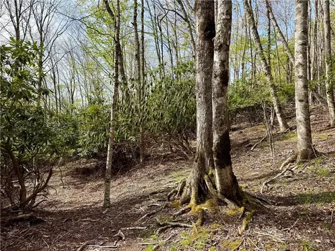 308 Overbrook Trl, Beech Mountain, NC 28604 photo 6