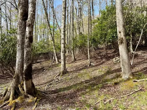 308 Overbrook Trl, Beech Mountain, NC 28604 photo 7