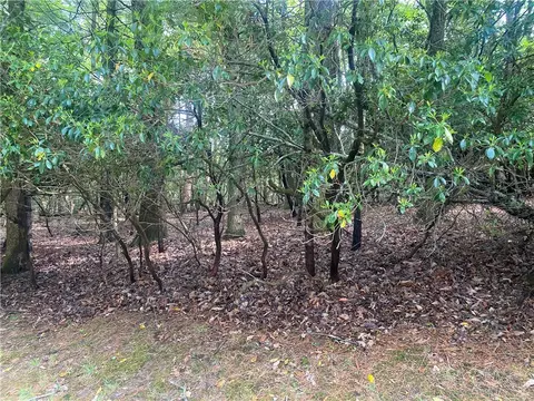 18 Buchanan St # -C, Roaring Gap, NC 28668 photo 2