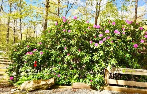 88 Ash Loop, Newland, NC 28657 photo 45