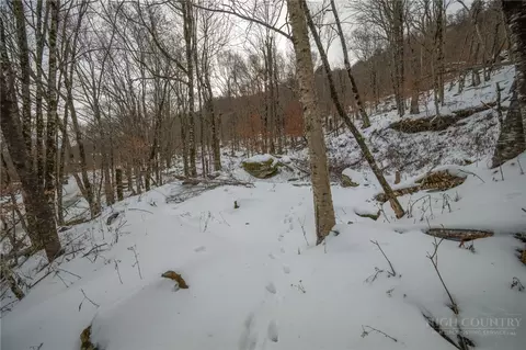lot S 678 Village Road Maple Ln, Beech Mountain, NC 28604 photo 19