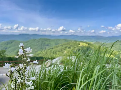 Other - 174 Winter Park Trl, Beech Mountain, NC 28604 photo 12 of 17
