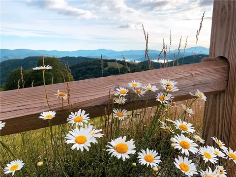Other - 174 Winter Park Trl, Beech Mountain, NC 28604 photo 10 of 17