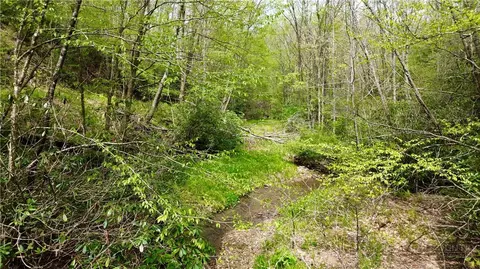 tbd Greer Town Rd, Lansing, NC 28643 photo 2