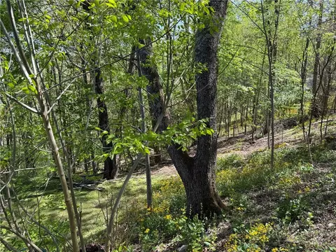 tbd Ski Mountain Rd, Blowing Rock, NC 28605