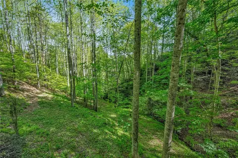 Exterior - 204 Mountain Side Ln, Crumpler, NC 28617 photo 4 of 9