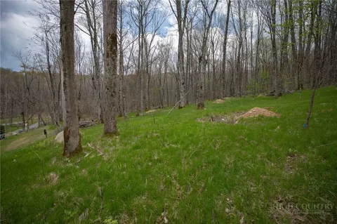 88 Lands End Trl, Beech Mountain, NC 28604 photo 4