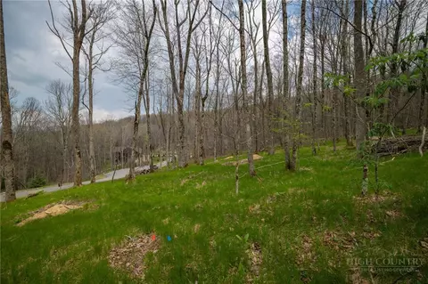 88 Lands End Trl, Beech Mountain, NC 28604 photo 6