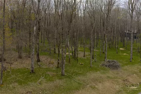 88 Lands End Trl, Beech Mountain, NC 28604 photo 10