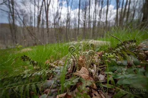 88 Lands End Trl, Beech Mountain, NC 28604 photo 7