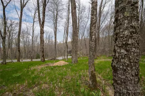 88 Lands End Trl, Beech Mountain, NC 28604 photo 5