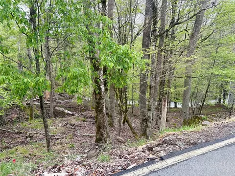 213 Lake Rd, Beech Mountain, NC 28604