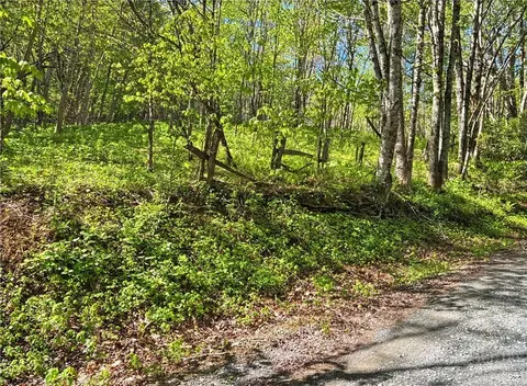 tbd Ed Perry Ln Nc Tbd Ed Perry Ln Nc Ln, Banner Elk, NC 28604