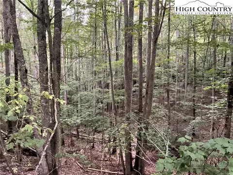 145 Raccoon Rd, Beech Mountain, NC 28604