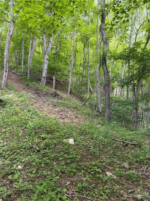 tbd Ben Bolen Rd, Creston, NC 28615 photo 7