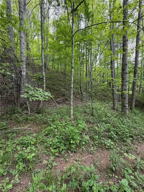 tbd Ben Bolen Rd, Creston, NC 28615 photo 11