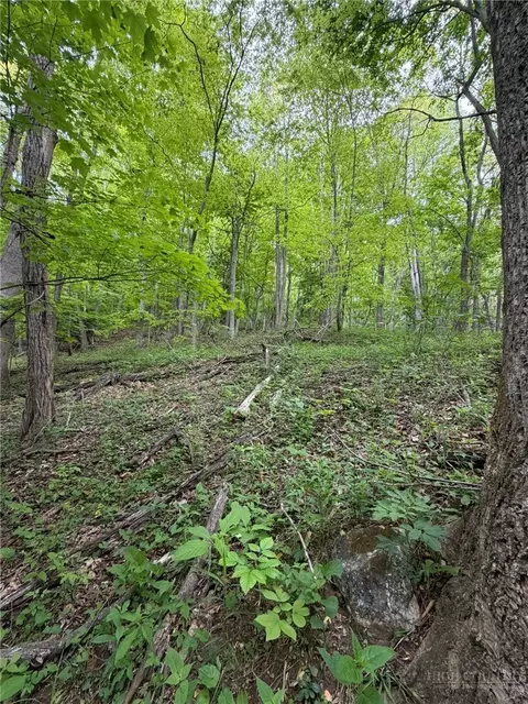 tbd Ben Bolen Rd, Creston, NC 28615 photo 12
