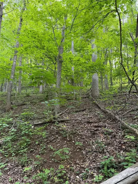 tbd Ben Bolen Rd, Creston, NC 28615 photo 4