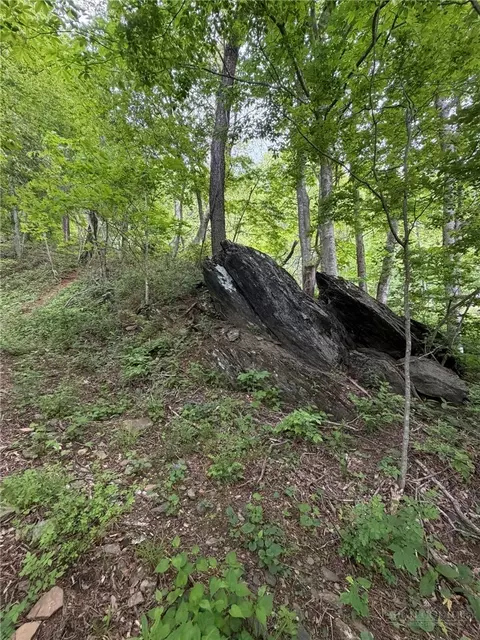 tbd Ben Bolen Rd, Creston, NC 28615 photo 2