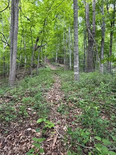 tbd Ben Bolen Rd, Creston, NC 28615 photo 6