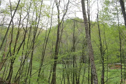 tbd Flatwoods School Rd, Creston, NC 28615