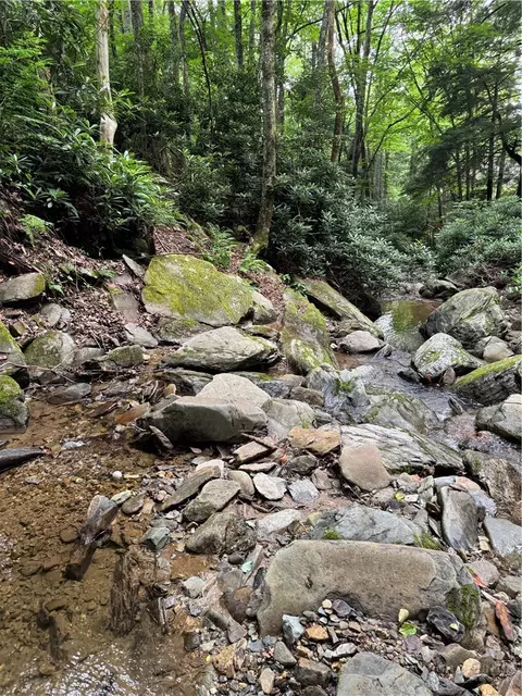 Other - 355 Oakley Grn, Boone, NC 28607 photo 6 of 14