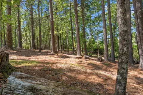 154 Folger Rd, Sparta, NC 28675 photo 28
