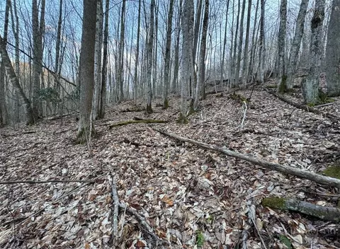 lot3 Buckeye Ridge Rd, Beech Mountain, NC 28604 photo 3
